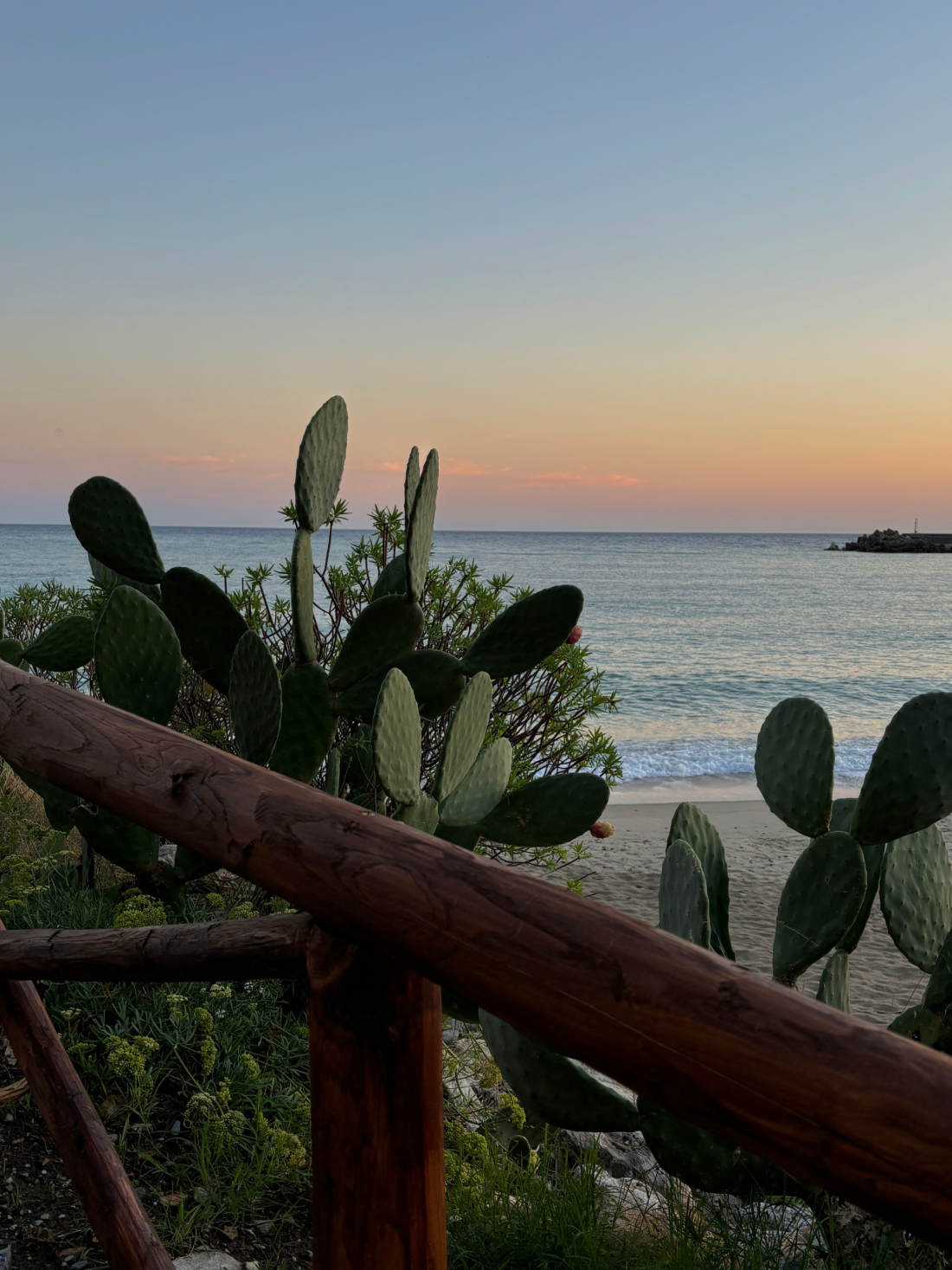 Sunset over the sea with cacti