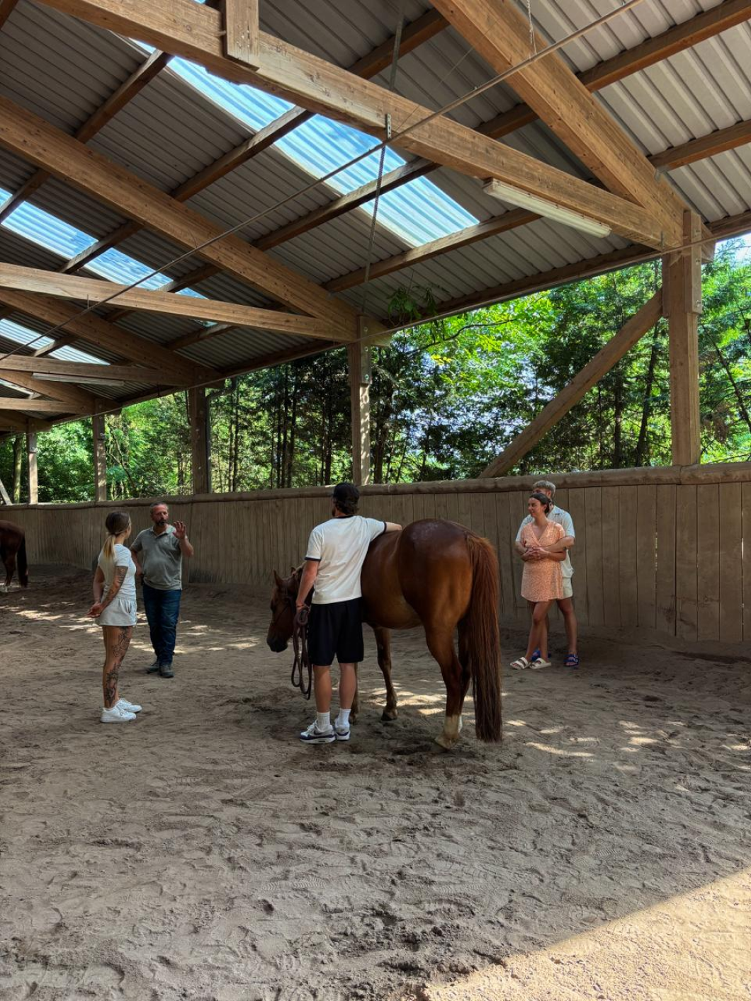 Indoor horse riding arena with wooden structure